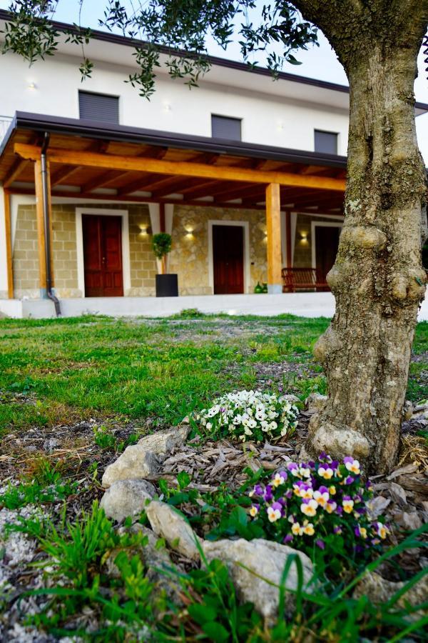 Atomos Bed & Breakfast Alvignano Eksteriør bilde